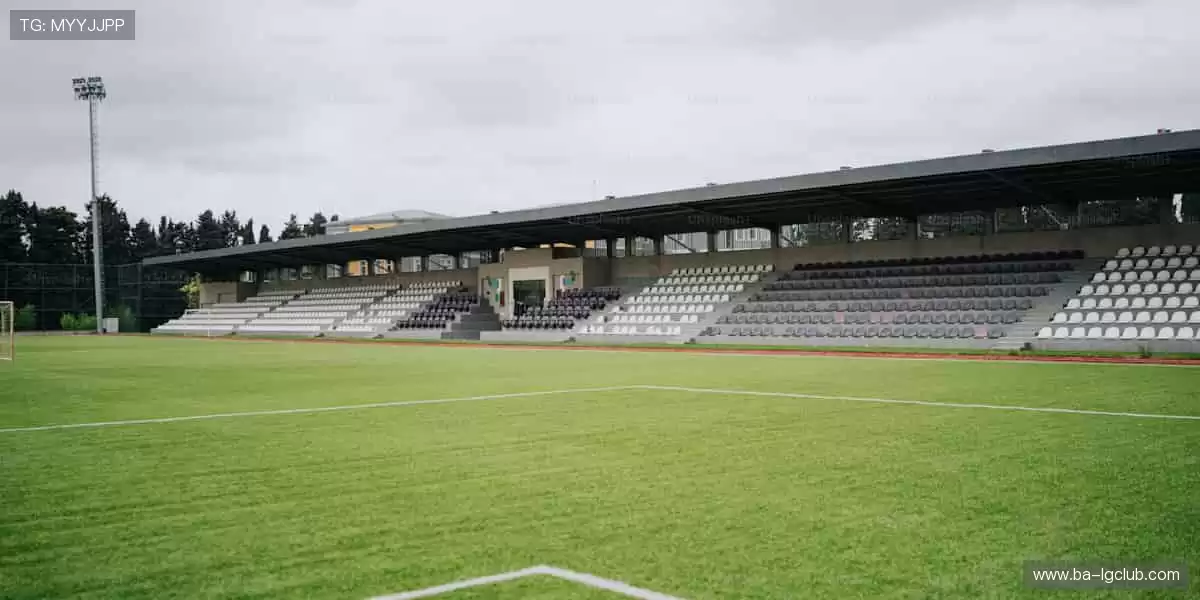 🏀 汗水与荣耀，直播间见！